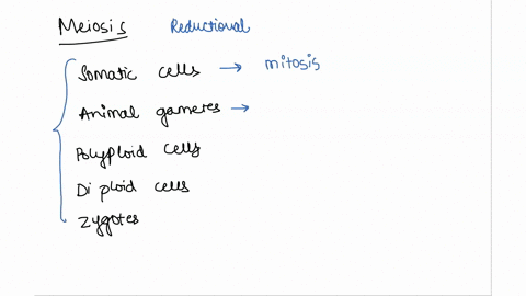 which-of-the-following-is-produced-by-meiosis-somatic-cells-animal-gametes-polyploid-cells-diploid-cells-zygotes-92657