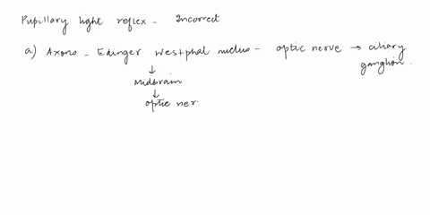 answer-the-following-questions-6which-of-the-following-statements-about-the-pupillary-light-reflex-is-not-correct-o-axons-from-the-edinger-westphal-nucieus-are-part-of-the-optic-nerve-that-t-48093