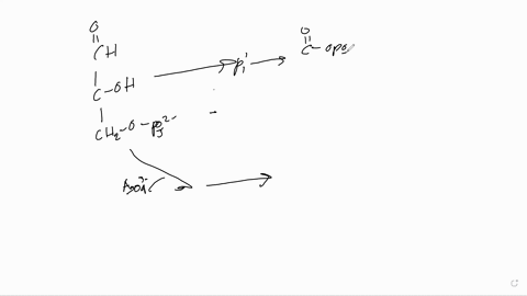 atp-from-adp-and-p-when-the-is-needed-t0-synthesize-19-a-total-of-305-kjlmol-of-free-energy-25c-standard-state-and-the-temperature-im-concentrations-are-not-im-and-the-reactants-and-products-52655