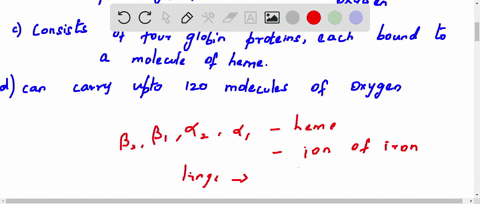 a-molecule-of-hemoglobin-____________-a-is-shaped-like-a-biconcave-disk-packed-almost-entirely-with-79821