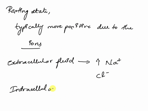 during-a-resting-statethe-extracellular-side-of-the-membrane-is-typically-more-because-of-the-increased-concentration-of-ions-on-this-side-31982