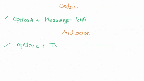 11-on-which-of-the-following-molecules-would-you-find-a-codon-messenger-rna-ribosomal-rna-c-transfer-rna-small-nuclear-rna-12-on-which-of-the-following-molecules-would-you-find-an-anticodon-87926