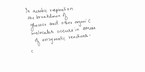 which-of-the-following-sequences-describes-the-path-by-which-electrons-travel-downhill-energetically-in-aerobic-respiration-17156