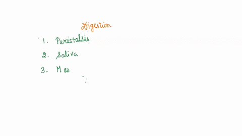 before-exploring-the-functions-of-the-different-cells-and-organs-involved-in-digestion-you-must-first-be-able-use-the-vocabulary-effectively-this-activity-asks-you-place-ihe-correct-tern-des-76665