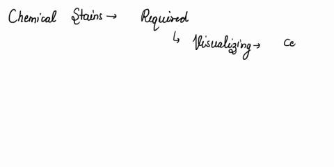 why-are-chemical-stains-required-for-visualizing-cells-and-tissues-with-the-basic-light-microscope-what-advantage-do-fluorescent-dyes-and-fluorescence-microscopy-provide-in-comparison-to-the-16086
