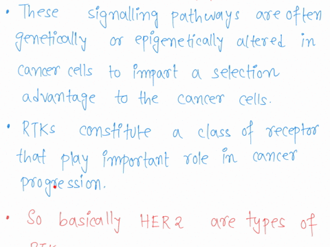 particular-receptor-tyrosine-kinases-rtks-that-promote-excessive-cell-division-are-found-at-high-sanous-cancer-cells-aprotein-herceptin-has-been-found-0-bind-t0-a-rtk-known-as-herz-herz-leve-88515