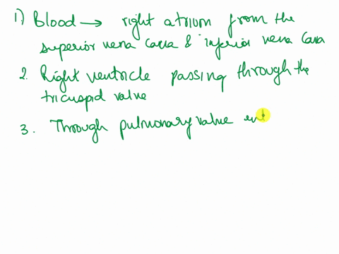 trace-the-flow-of-blood-through-the-heart-including-valves-and-great-vessels-04054