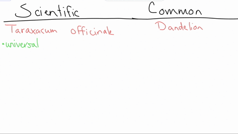 explain-the-binomial-nomenclature-system-of-naming-organisms