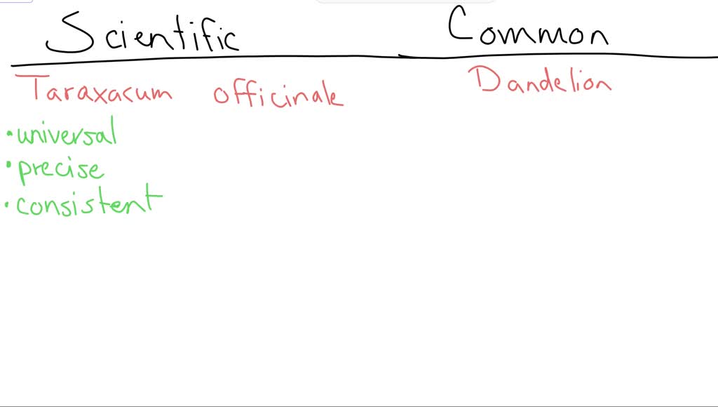 WHAT IS THE BINOMIAL SYSTEM FOR NAMING ORGANISMS visual data 2