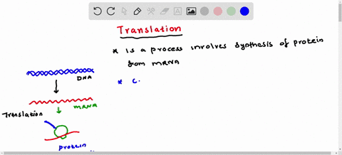 the-process-used-to-produce-a-protein-from-an-mrna-is-called-__________________________-60518