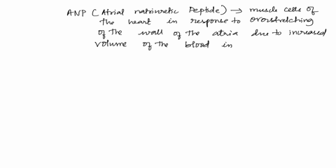 secretion-of-atrial-natriuretic-peptide-increases-potassium-excretion-decreases-sodium-excretion-increases-sodium-excretion-decreasespotassium-excretion-17887