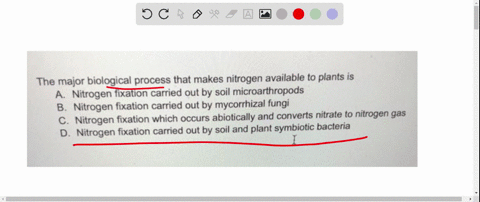 the-major-biological-process-that-makes-nitrogen-available-to-plants-is-nitrogen-fixation-carried-out-by-soil-microarthropods-nitrogen-fixation-carried-out-by-mycorrhizal-fungi-c-nitrogen-fi-60034