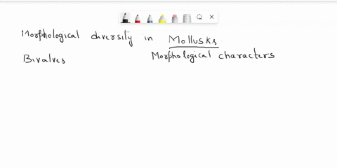discuss-the-morphological-diversity-disparity-ol-mollusks_-how-is-thelr-basic-body-plan-modified-for-different-ways-of-life-what-adaptations-for-feeding-movement-and-reproduction-do-the-segm-71013