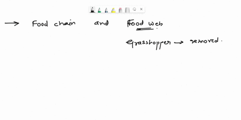 the-competitive-dominance-hlerarchy-lafit-and-food-web-right-diagrams-bolow-show-simplfiod-species-relationships-ior-a-largo-mondow-habitat-in-the-midwestern-united-states-recall-what-the-di-08313
