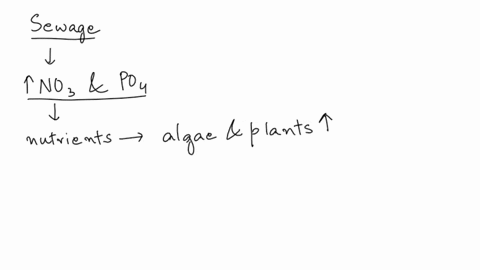 why-is-it-important-for-sewage-treatment-plants-to-remove-nitrates-and-phosphates-from-sewage-before-discharging-it-into-a-river-explain-13368