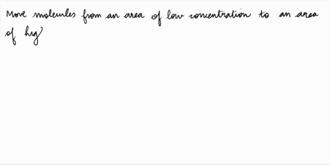true-or-false-active-transport-is-required-to-more-particles-from-an-area-of-lower-concentration-to-an-area-of-higher-concentration-90349