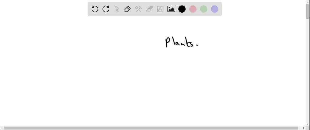 Solved Photosynthesis Occurs And Extra Food Is Stolen In Which Plant Tissue A Dermal B Ground C Vascular D Xylem Question 1 Of 6 Photosynthesis Occurs And Extra Food Is Stored In