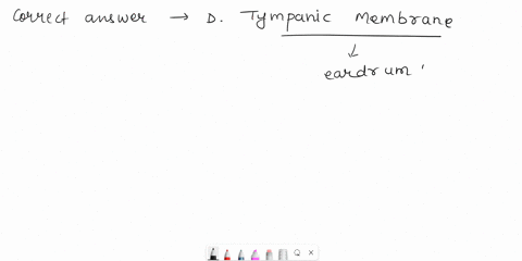 which-structure-vibrates-back-and-forth-when-sound-waves-strike-it-oamacula-obvestibulocochlear-nerve-cpinna-o-dtympanic-membrane-oecochlea-55464
