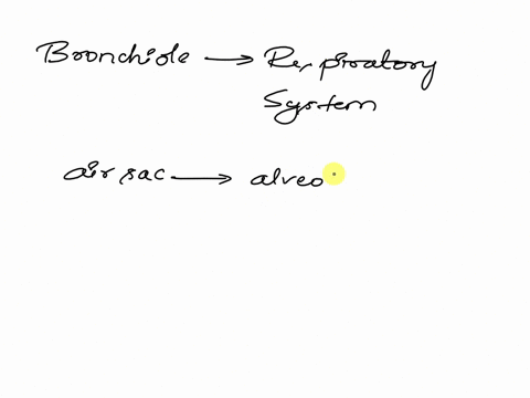 at-the-end-of-each-bronchiole-is-an-1-air-sac-2-pleura-3-bronchus-4-larynx-20345