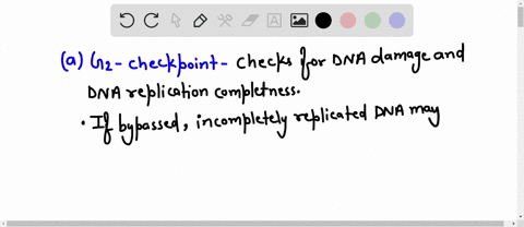 question-31-2-pts-which-of-the-following-predicts-a-likely-outcome-of-bypassing-the-gz-checkpoint-in-the-cell-cycle-the-cell-cycle-would-pause-if-cell-size-or-nutrient-supplv-is-inadequate-d-20771