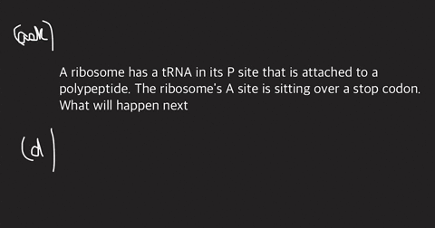 a-ribosome-has-a-trna-in-its-p-site-that-is-attached-to-a-polypeptide-the-ribosomes-a-site-is-sitting-over-a-stop-codon-what-will-happen-next-the-stop-amino-acid-will-be-added-to-the-polypep-91778