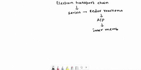 the-function-of-an-electron-in-the-electron-transport-chain-is-select-one-to-transfer-energy-from-complex-il-to-complex-b-to-pump-hydrogen-ions-using-complex-il-to-use-its-free-energy-to-pum-08169