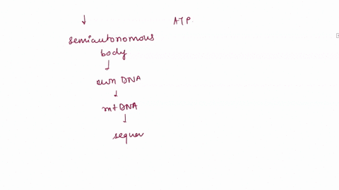 question-6-in-animals-what-type-of-sequence-is-commonly-used-to-construct-a-phylogeny-and-determine-ancestry-mitochondrial-dna-centromeric-dna-telomeric-dna-plasmid-dna-31155