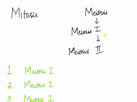 match-each-statement-correctly-with-either-mitosis-meiosis-i-or-meiosis-ii-____-separates-homologous-chromosomes-into-two-new-cells-____-separates-sister-chromatids-that-may-have-different-a-46088