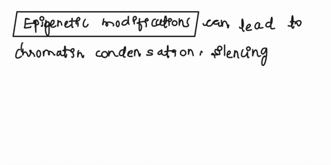 what-are-the-possible-effects-of-epigenetic-modifications-on-the-condensation-of-chromatin-and-how-condensation-when-occurring-near-promoter-regions-near-genes-can-affect-transcription-and-t-32352