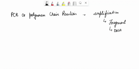 thinking-of-the-steps-of-pcr-describe-why-a-heat-stable-polymerase-is-required-for-the-process-of-dna-lengthening-55391