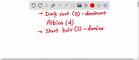 in-dogs-dark-coat-color-is-dominant-over-albino-and-short-hair-is-dominant-over-long-hair-assume-t-2-26823