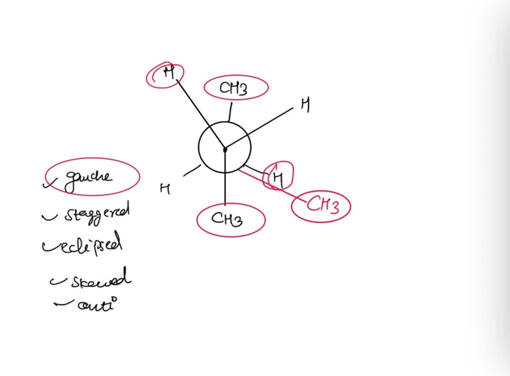 solved-what-is-the-name-given-to-the-newman-projection-of-the-butane