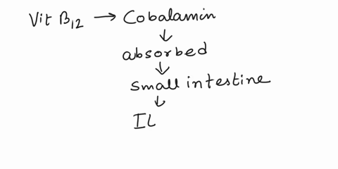 which-of-the-following-is-needed-for-the-absorption-of-vitamin-b12-selected-answerbintrinsic-factor-answers-alhci-wbintrinsicfactor-civitamin-k-diron-74504