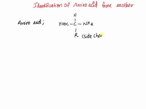 the-functional-group-that-distinguishes-one-amino-acid-from-another-is-a-group-r-b-group-h-c-carboxyl-group-d-amino-group-54252