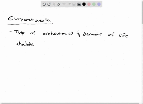 give-an-account-of-the-euryarchaeota6-points-2