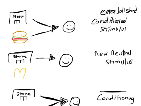 in-________-conditioning-an-established-conditioned-stimulus-is-paired-with-a-new-neutral-stimulus