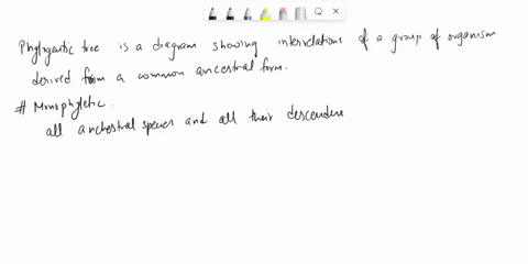 1-2-3-4-5-6-7-8-9-10-11-12-13-14-15-16-use-the-cladogram-phylogenetic-tree-above-to-answer-the-following-questionsthe-red-dots-on-the-tree-represent-the-known-shared-derived-traits-among-the-46334