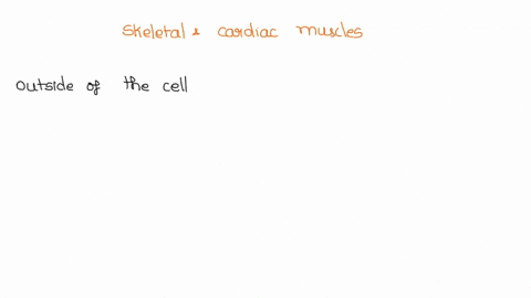 skeletal-and-cardiac-muscle-are-both-types-of-striated-muscle-you-have-been-given-one-type-of-each-sample-but-the-identifying-labels-have-come-off-you-know-that-these-muscles-have-some-simil-79307