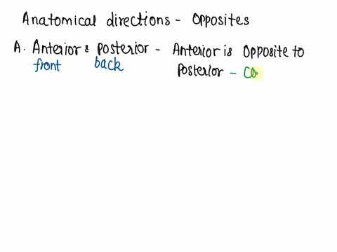 which-of-the-following-anatomical-directions-are-opposites-a-anterior-and-posterior-b-posterior-and-superior-c-anterior-and-superior-d-posterior-and-inferior-81621