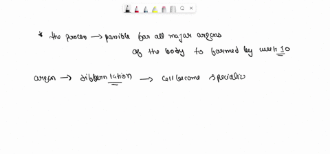 which-process-makes-it-possible-for-all-the-major-organs-of-the-body-to-be-formed-by-week-10-of-human-development-growth-fertilization-self-renewal-differentiation-87298