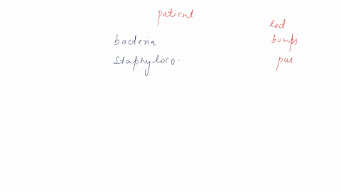 your-patient-presents-with-a-skin-infection-that-they-are-describing-as-a-spider-bite-although-they-never-saw-a-spider-there-are-several-swollen-painful-red-bumps-on-the-skin-with-visible-pu-74767