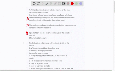 1-match-the-mitosis-event-with-the-naeme-of-the-phas-group-of-answer-choices-interphase-phosphase-metaphase-anaphase-telophase-centrioles-at-opposite-poles-pull-away-from-each-other-while-sp-10366