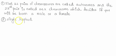 part-a-which-of-these-statements-correct-in-humans_-the-twenty-second-pair-the-sex-chromosomes-determines-whether-the-person-is-female-xy-or-male-xx_-single-haploid-2n-sets-of-chromosomes-in-91808