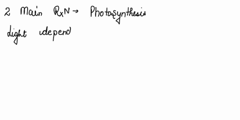 13-what-are-the-two-main-sets-of-reactions-for-photosynthesis-a-jight-dependent-reactions-calvin-cycle-light-independent-reactions-b-glycolysis-citric-acid-cycle-c-light-reactions-glycolysis-70544