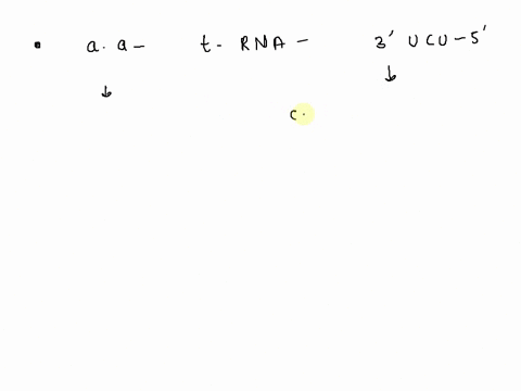what-amino-acid-would-aminoacyl-trna-synthetase-attach-to-a-trna-with-the-anticodon-5-ucu-3-use-the-three-letter-abbreviation-for-the-amino-acid-13315