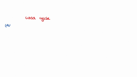 which-of-the-following-statements-about-the-urea-cycle-are-correct-this-is-a-multi-select-question-select-all-statements-that-are-correct-unlike-other-multi-select-questions-here-you-will-ge-42835