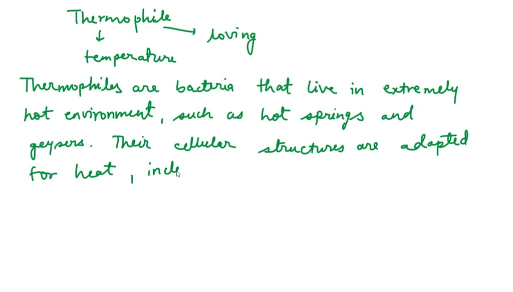 Typically, hot temperatures denature enzymes. How does the structure of