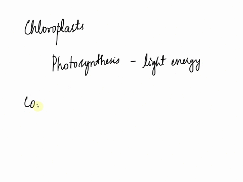which-organelle-produces-sugars-while-releasing-oxygen-and-in-which-cell-could-it-be-found-a-the-golgi-apparatus-which-can-be-found-in-lung-cells-of-animals-b-lysosomes-which-can-be-found-in-72256