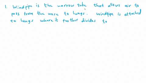 what-is-another-name-for-the-windpipe-a-lalya-of-lungs-9-e-e-ptaryu-a-truchea-clew-wy-drer-question-8-what-is-the-frest-structure-in-the-resplatory-sequence-a-traches-b-lungi-c-pharger-d-lurya
