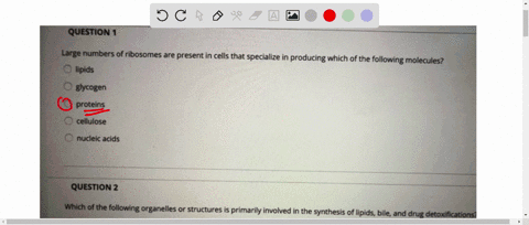 question-large-numbers-of-ribosomes-are-present-in-cells-that-specialize-in-producing-which-of-the-following-molecules-lipids-glycogen-proteins-cellulose-nucleic-acids-question-2-which-of-th-45595